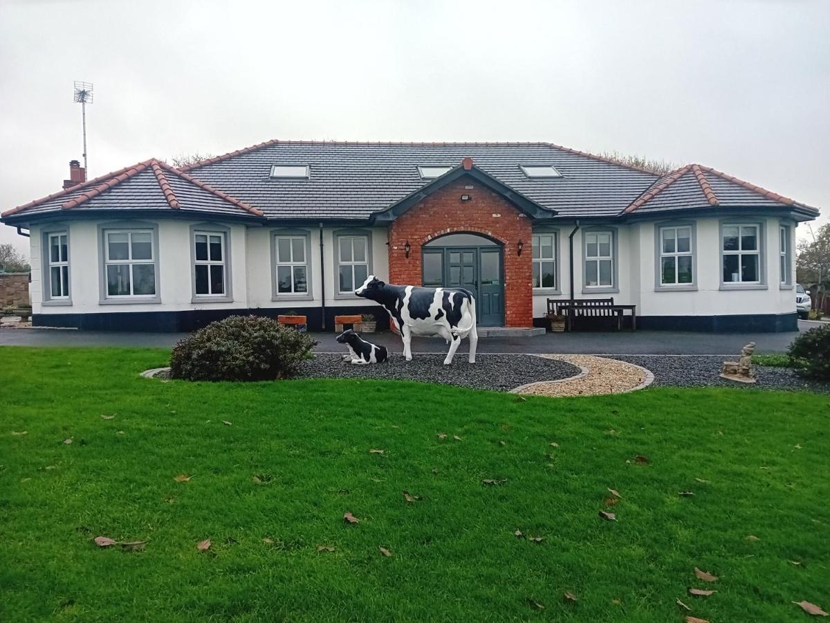 Creeghduff Lodge Downpatrick Exterior photo